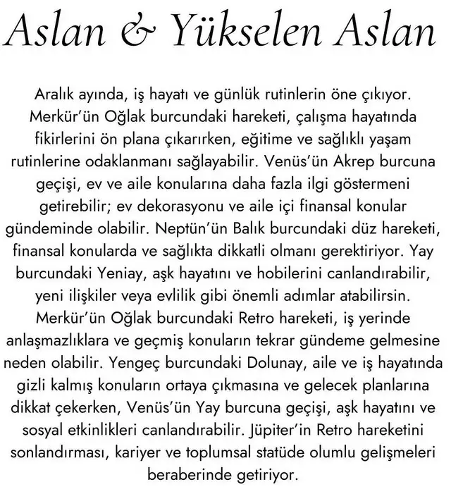 aa4 (6).webp