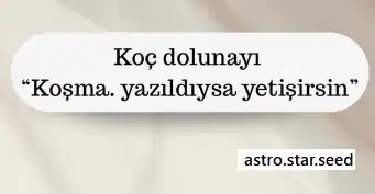 aaa.webp