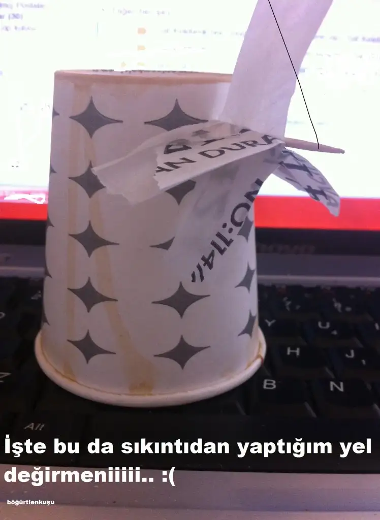 aaaa.webp