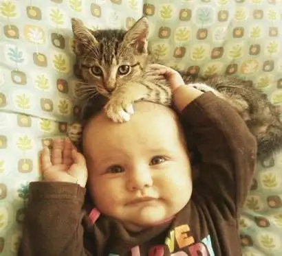 AAacrGZ.webp