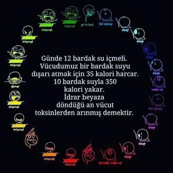 aab243ac381d7e7c9fe680075be42367.webp