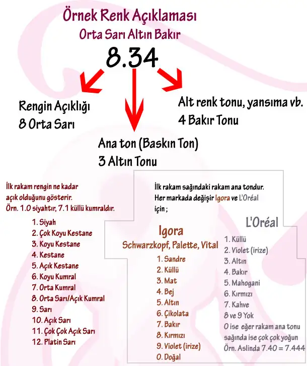 AAF0D116-EABB-44D3-809C-AF76B1BD8090.jpeg
