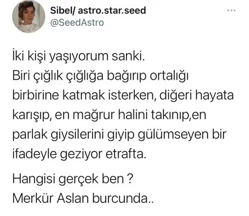 ab.webp