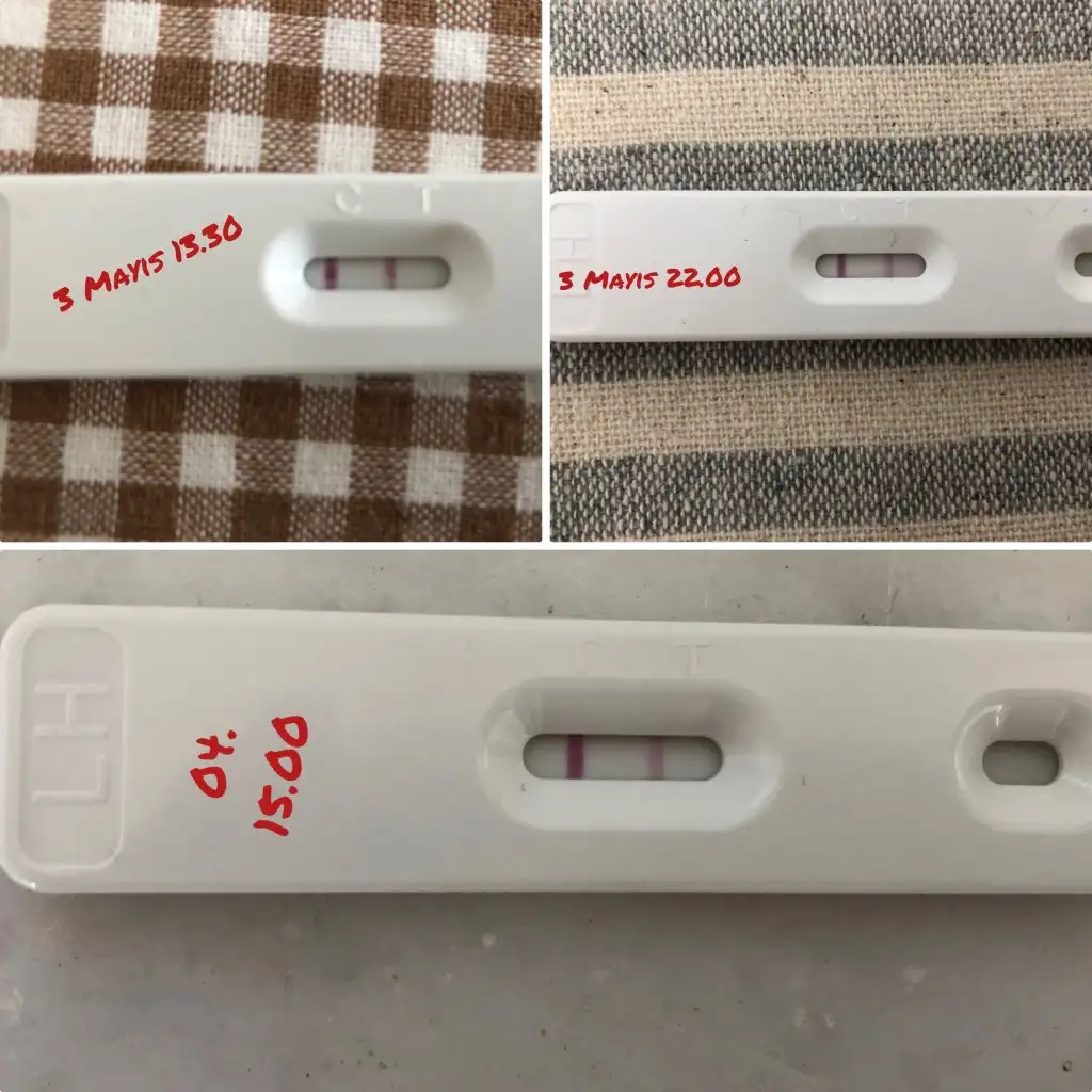 AB325EE4-A326-417D-AB1A-6E71B6F1E867.webp