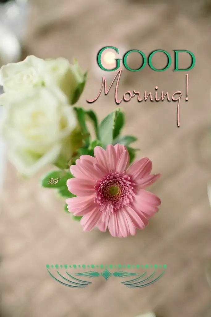 ab848ddedc4598eb75222f79981e9873.webp