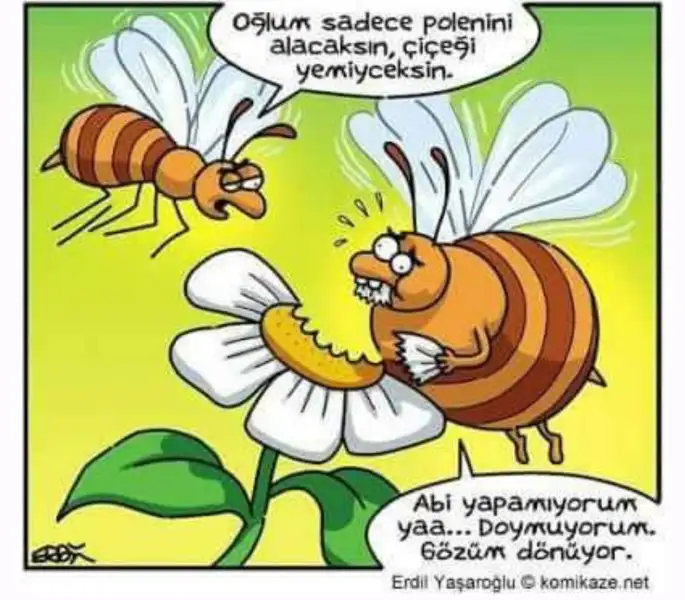 ABBCE740-FE4F-4F08-980D-A4D2E7B42D1F.webp