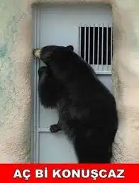aç bi konuşcaz.webp
