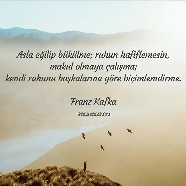 acadbd4451f229519155a601fda628ff.webp