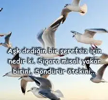 ACD371EE-D423-4273-B1F7-7CCD618C352D.webp
