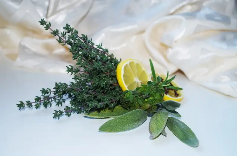 adacayi-limon-kuru-ile-1-haftada-2-kilo-verin-7236.webp