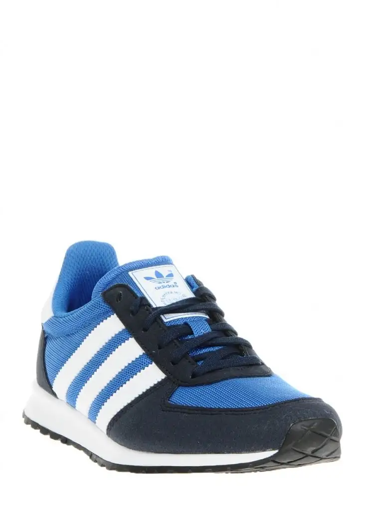 adidas.webp