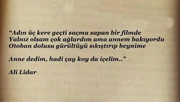 ADIN.webp