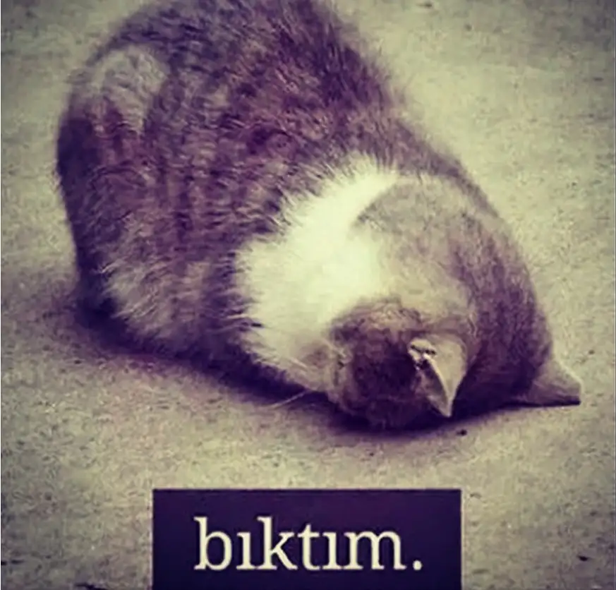 Adsız.webp