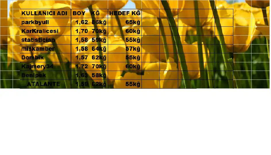 Adsız.webp