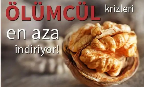 adsız.webp