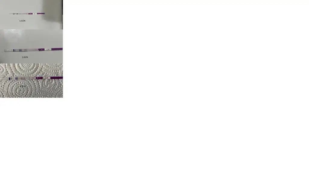 Adsız.webp
