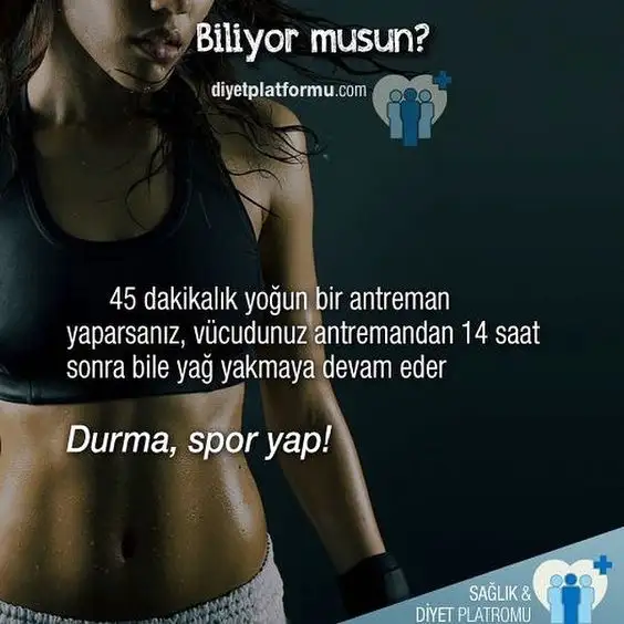ae51536505c1aa2bb0c53169843c3eae.webp