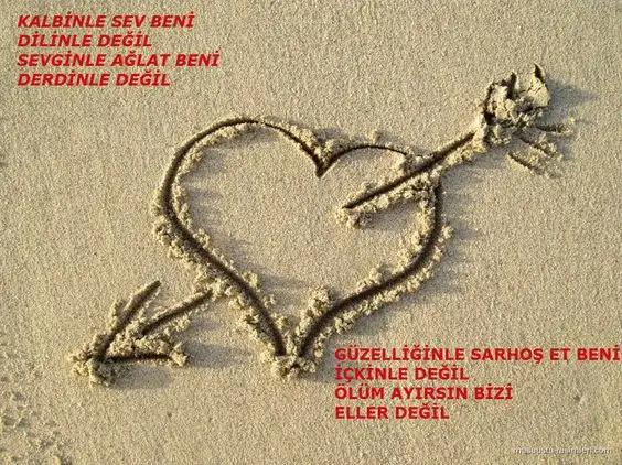 afdd0eb6c6ad913c464f44bd249d2188.webp