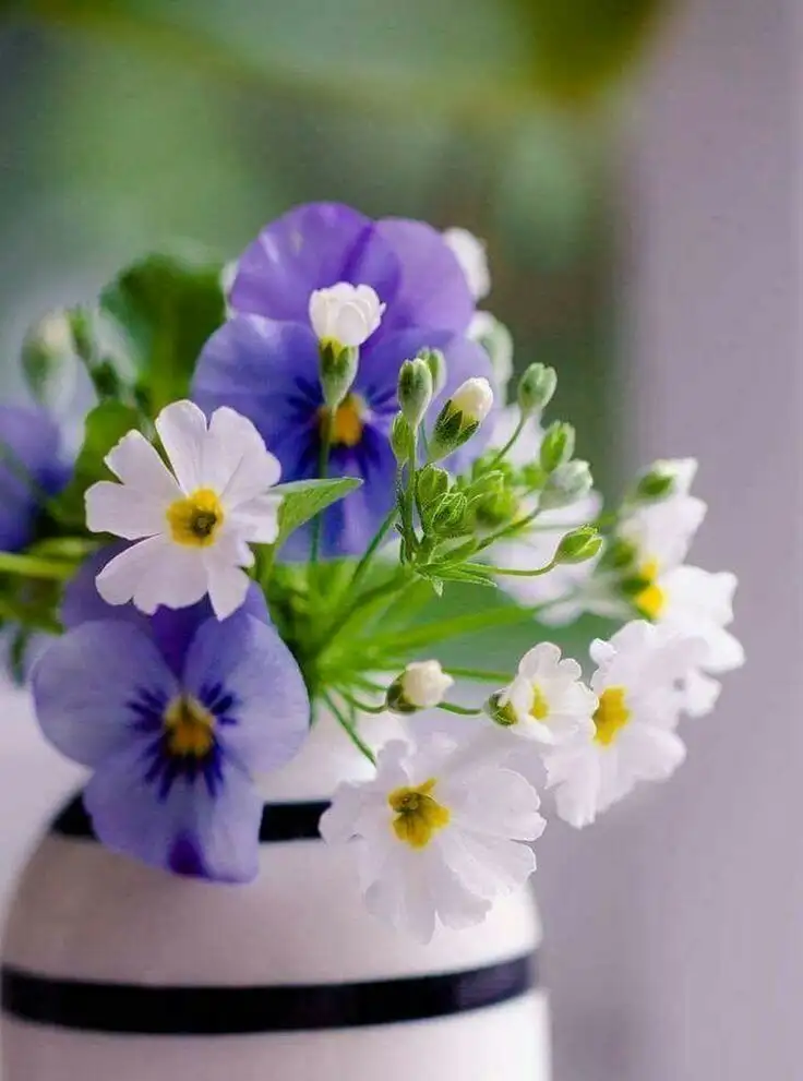 afee14806a539629d6df3bce08ea49f7.webp