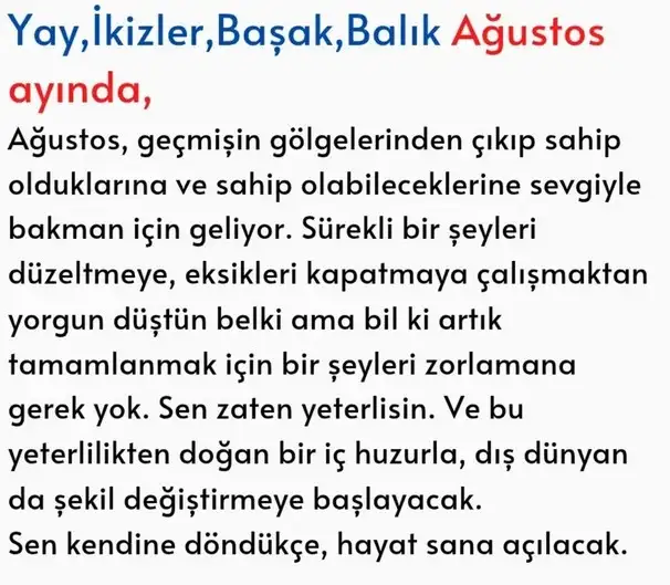 afg2 (3).webp