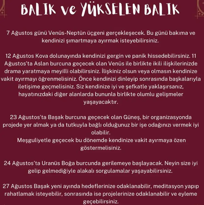 ağ1 (13).webp