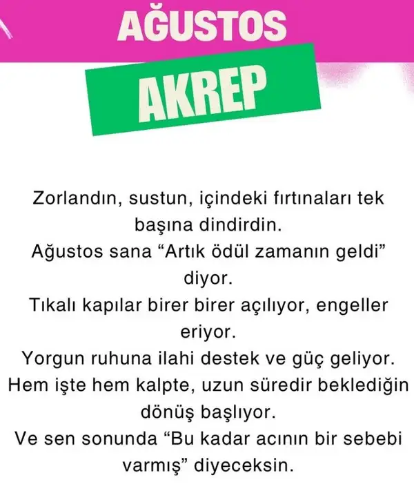 ağ11 (8).webp