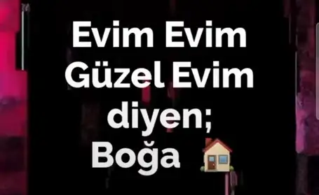 ağ14 (3).webp
