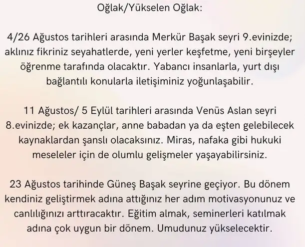 ağ17 (10).webp