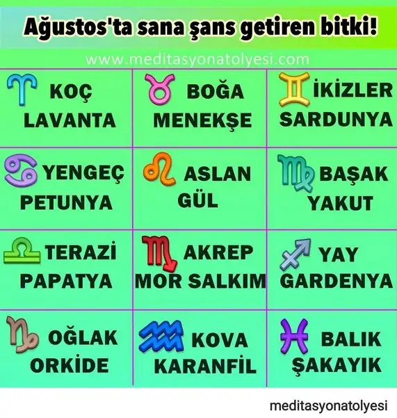 ağ23 (2).webp