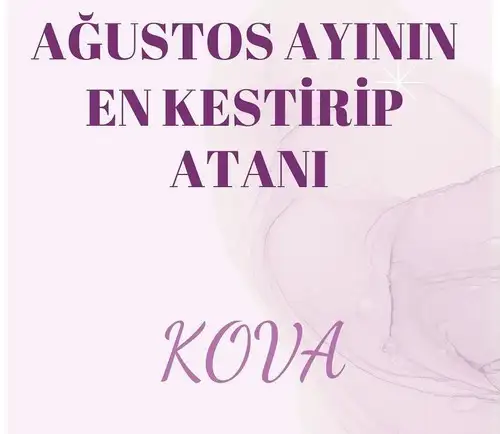 ağ3 (11).webp