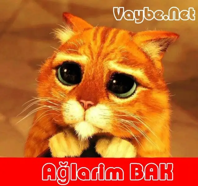 ağlarım bak.webp