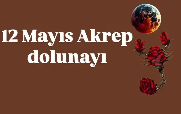ak (1).webp