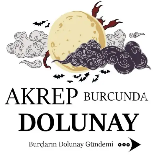 ak (2).webp