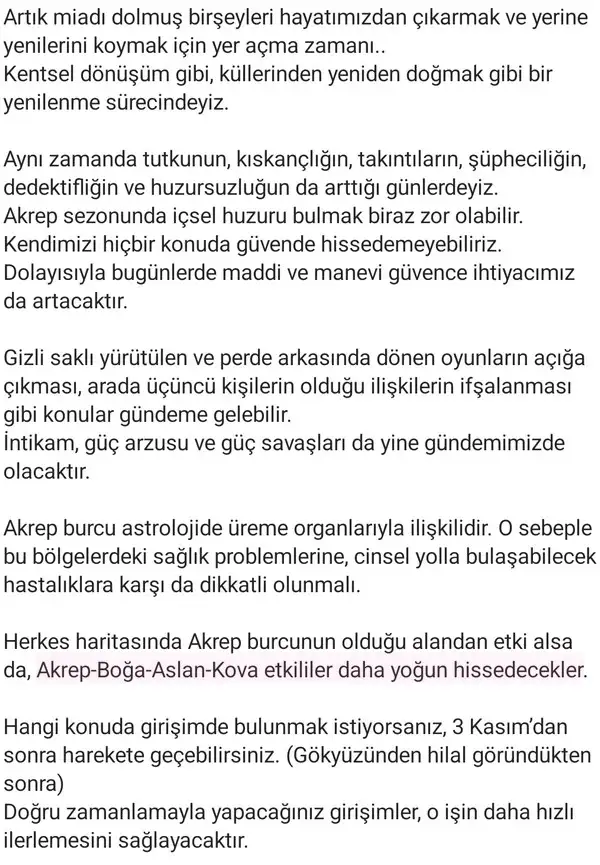 ak1 (2).webp