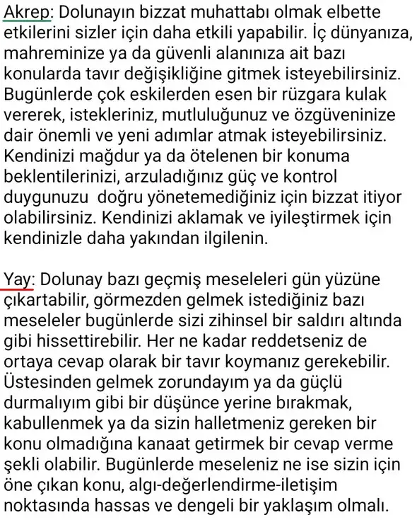 ak1 (6).webp