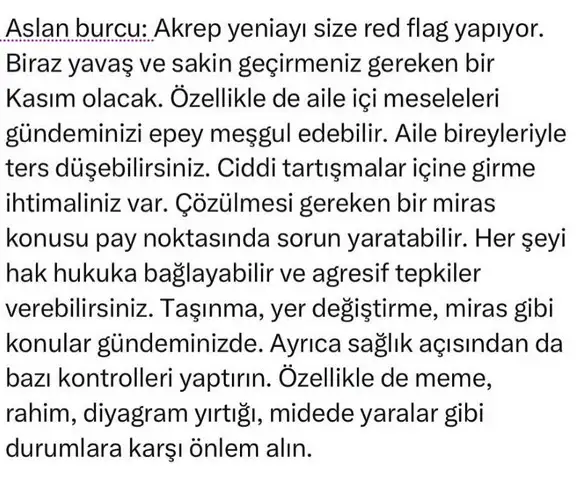ak1 (7).webp