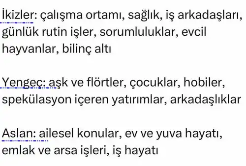 ak11 (2).webp