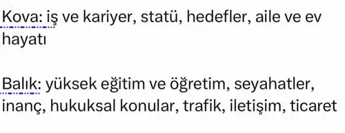 ak11 (5).webp
