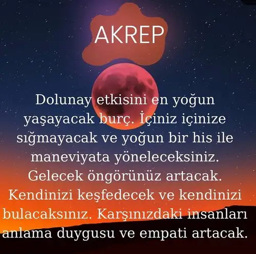 ak11 (9).webp