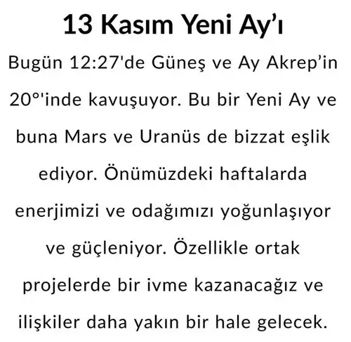 ak12 (1).webp