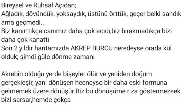ak13 (2).webp