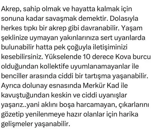 ak16 (2).webp