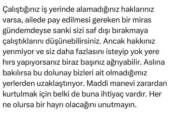 ak16 (5).webp