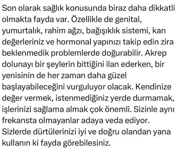 ak16 (6).webp