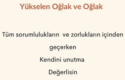 ak17 (10).webp