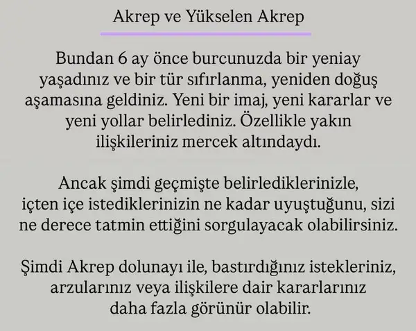 ak17 (11).webp