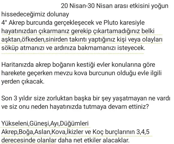 ak17 (13).webp