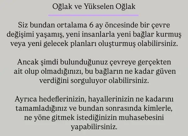ak17 (13).webp