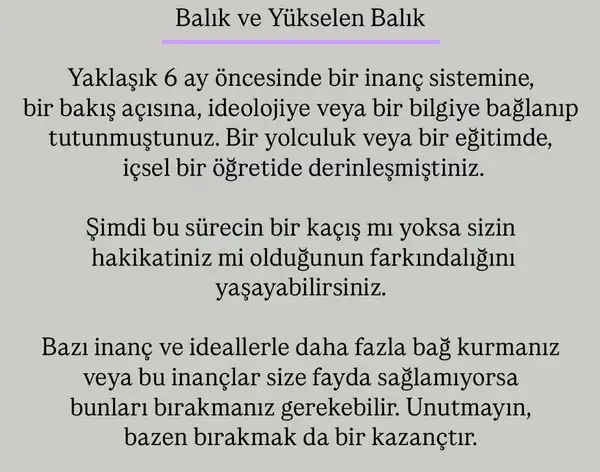 ak17 (16).webp