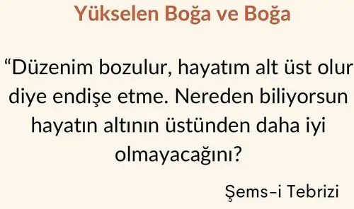 ak17 (2).webp